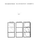 FLAGELLIN RELATED POLYPEPTIDES AND USES THEREOF diagram and image