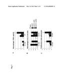 Co-Administration of a Parvovirus and a Cytokine for Therapy of Pancreatic     Cancer diagram and image