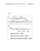 NEISSERIAL VACCINE COMPOSITIONS COMPRISING A COMBINATION OF ANTIGENS diagram and image