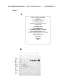 NEISSERIAL VACCINE COMPOSITIONS COMPRISING A COMBINATION OF ANTIGENS diagram and image