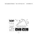 CHEMICAL EXCHANGE SATURATION TRANSFER (CEST) BASED MRI USING REPORTER     GENES AND SUBSTRATES AND METHODS THEREOF diagram and image