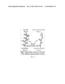 CHEMICAL EXCHANGE SATURATION TRANSFER (CEST) BASED MRI USING REPORTER     GENES AND SUBSTRATES AND METHODS THEREOF diagram and image