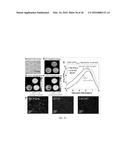 CHEMICAL EXCHANGE SATURATION TRANSFER (CEST) BASED MRI USING REPORTER     GENES AND SUBSTRATES AND METHODS THEREOF diagram and image