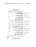 POLYANILINE MEMBRANES FORMED BY PHASE INVERSION FOR FORWARD OSMOSIS     APPLICATIONS diagram and image