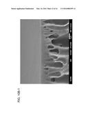 POLYANILINE MEMBRANES FORMED BY PHASE INVERSION FOR FORWARD OSMOSIS     APPLICATIONS diagram and image