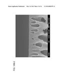 POLYANILINE MEMBRANES FORMED BY PHASE INVERSION FOR FORWARD OSMOSIS     APPLICATIONS diagram and image