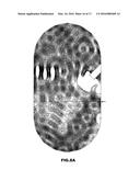 CHEMICAL REACTION APPARATUS diagram and image