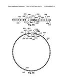 POWER OPERATED ROTARY KNIFE diagram and image