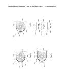 ROBOTIC SYSTEM AND METHODS OF USE diagram and image