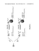 TUNABLE NITRIC OXIDE-RELEASING MACROMOLECULES HAVING MULTIPLE NITRIC OXIDE     DONOR STRUCTURES diagram and image