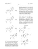 SHIP1 MODULATORS AND METHODS RELATED THERETO diagram and image