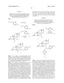 SHIP1 MODULATORS AND METHODS RELATED THERETO diagram and image