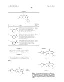 TRICYCLIC GUANIDINE DERIVATIVE diagram and image