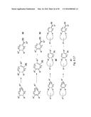 ORGANOBORON COMPOUNDS AND METHODS OF MAKING ORGANOBORON COMPOUNDS diagram and image