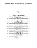 ANTIVIRAL AGENT AGAINST ANIMAL VIRUSES diagram and image