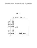 ANTIVIRAL AGENT AGAINST ANIMAL VIRUSES diagram and image