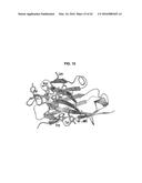 ANTIVIRAL AGENT AGAINST ANIMAL VIRUSES diagram and image