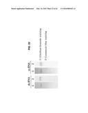 ANTIVIRAL AGENT AGAINST ANIMAL VIRUSES diagram and image