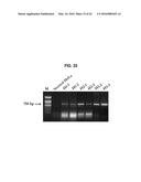 ANTIVIRAL AGENT AGAINST ANIMAL VIRUSES diagram and image