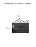 ANTIVIRAL AGENT AGAINST ANIMAL VIRUSES diagram and image