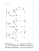 Folate Receptor 1 Antibodies and Immunoconjugates and Uses Thereof diagram and image