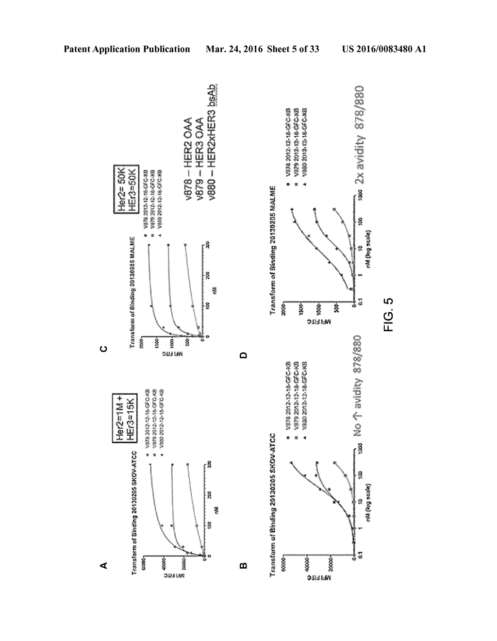 Bispecific HER2 and HER3 Antigen Binding Constructs - diagram, schematic, and image 06