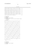 Bispecific HER2 and HER3 Antigen Binding Constructs diagram and image