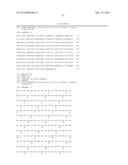 Bispecific HER2 and HER3 Antigen Binding Constructs diagram and image