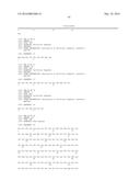 Bispecific HER2 and HER3 Antigen Binding Constructs diagram and image