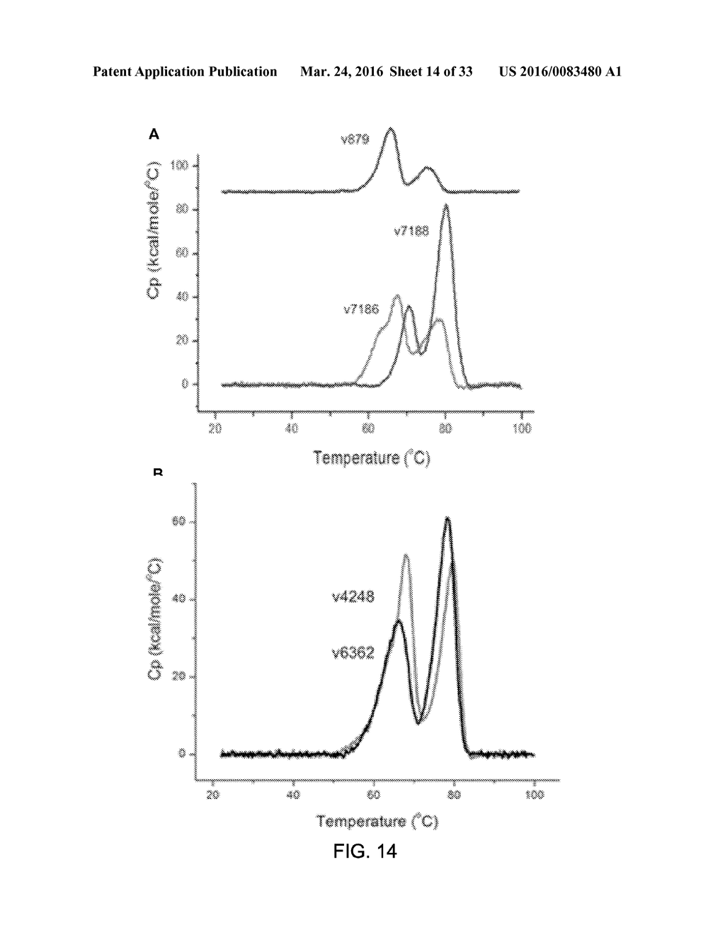 Bispecific HER2 and HER3 Antigen Binding Constructs - diagram, schematic, and image 15