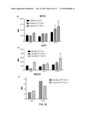 Bispecific HER2 and HER3 Antigen Binding Constructs diagram and image