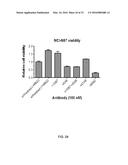 Bispecific HER2 and HER3 Antigen Binding Constructs diagram and image