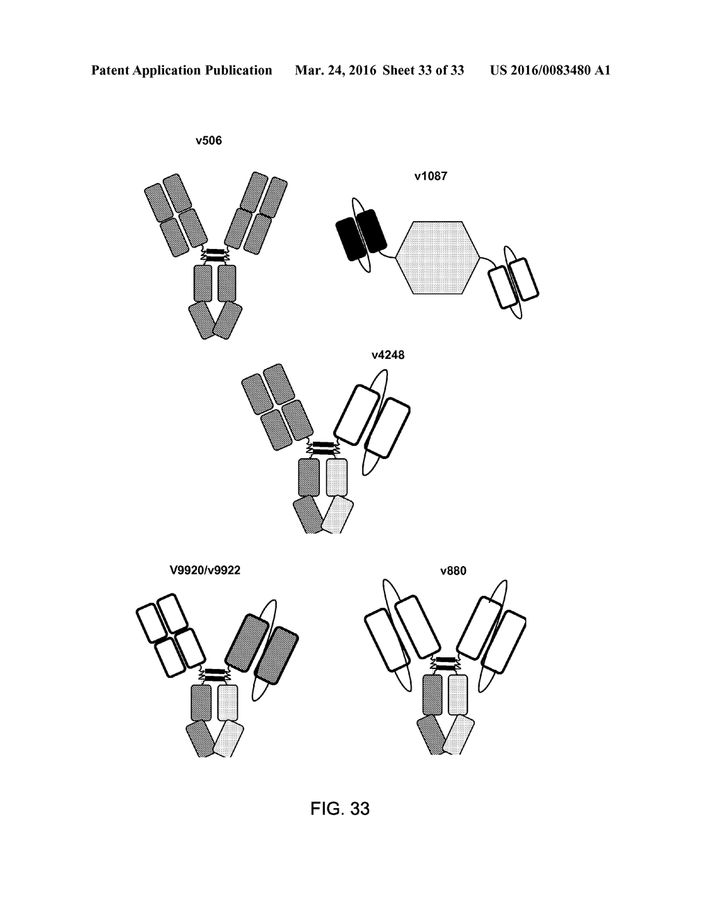 Bispecific HER2 and HER3 Antigen Binding Constructs - diagram, schematic, and image 34