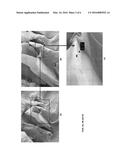 IN SITU EXFOLIATION METHOD TO FABRICATE A GRAPHENE-REINFORCED POLYMER     MATRIX COMPOSITE diagram and image