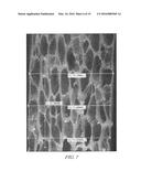 CELLULAR POLYMERIC MATERIAL diagram and image