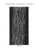 CELLULAR POLYMERIC MATERIAL diagram and image