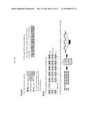 COMPOSABILITY AND DESIGN OF PARTS FOR LARGE-SCALE PATHWAY ENGINEERING IN     YEAST diagram and image