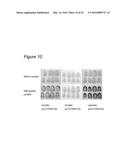 AGROBACTERIUM BACTERIUM TO BE USED IN PLANT TRANSFORMATION METHOD diagram and image
