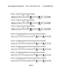 PRODUCTION OF BACTERIAL MICROCOMPARTMENTS IN EUKARYOTIC CELLS diagram and image