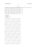 METHOD FOR SPEEDING UP PLANT GROWTH AND IMPROVING YIELD BY ALTERING     EXPRESSION LEVELS OF KINASES AND PHOSPHATASES diagram and image