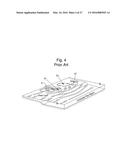 SCOUR PREVENTING APPARATUS FOR HYDRAULIC STRUCTURES diagram and image