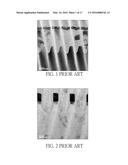 SAMPLE STACK STRUCTURE AND METHOD FOR PREPARING THE SAME diagram and image