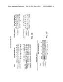 METHODS AND COMPOSITIONS FOR THE DIAGNOSIS OF CANCER SUSCEPTIBILITIES AND     DEFECTIVE DNA REPAIR MECHANISMS AND TREATMENT THEREOF diagram and image