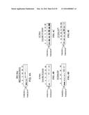 METHODS AND COMPOSITIONS FOR THE DIAGNOSIS OF CANCER SUSCEPTIBILITIES AND     DEFECTIVE DNA REPAIR MECHANISMS AND TREATMENT THEREOF diagram and image