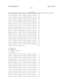 METHODS AND COMPOSITIONS FOR THE DIAGNOSIS OF CANCER SUSCEPTIBILITIES AND     DEFECTIVE DNA REPAIR MECHANISMS AND TREATMENT THEREOF diagram and image