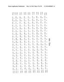 METHODS AND COMPOSITIONS FOR THE DIAGNOSIS OF CANCER SUSCEPTIBILITIES AND     DEFECTIVE DNA REPAIR MECHANISMS AND TREATMENT THEREOF diagram and image