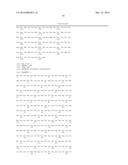 METHODS AND COMPOSITIONS FOR THE DIAGNOSIS OF CANCER SUSCEPTIBILITIES AND     DEFECTIVE DNA REPAIR MECHANISMS AND TREATMENT THEREOF diagram and image