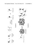 WOVEN HYDROGEL BASED BIOSENSOR diagram and image