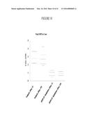 ASSAY FOR DETERMINING ENDOGENOUS LEVELS OF ANALYTE IN VIVO diagram and image