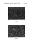 INORGANIC POLARIZING PLATE CONTAINING FESI FINE PARTICLES diagram and image